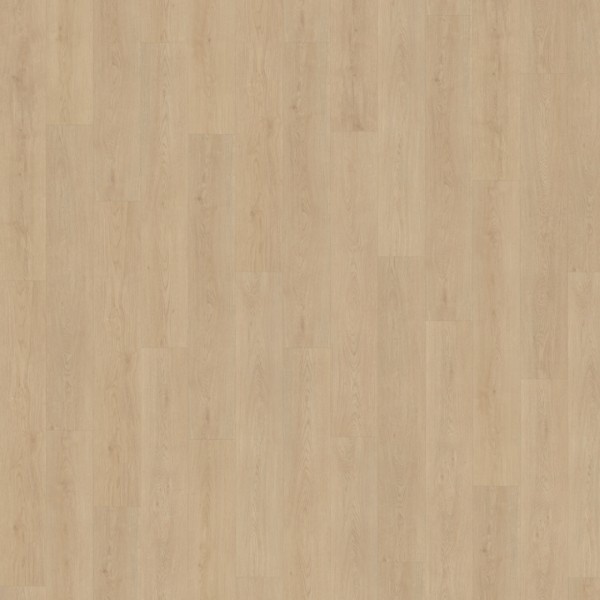 Belakos Monastro 920 rechte plank rigid click