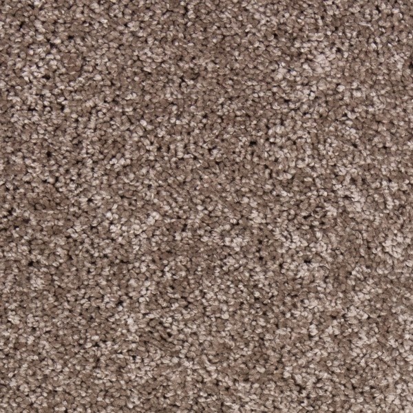 Hebeta Chrysant 925 400cm