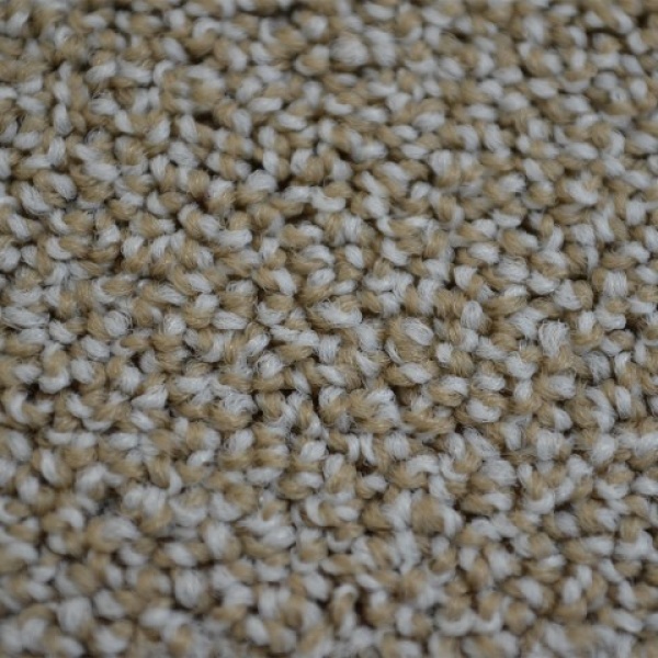 Ambiant Traffic Bisquit 490 400 cm