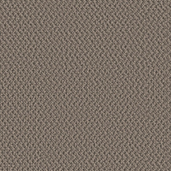 Ambiant Tide Doria Clanton taupe 0101 400cm