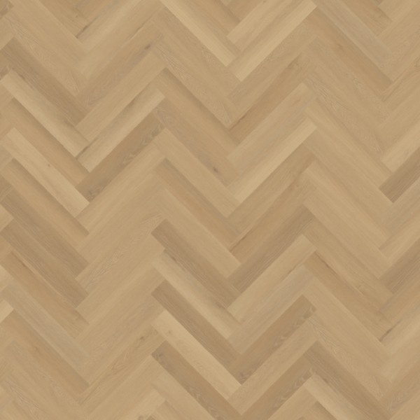 Belakos Borgo 30 visgraat XL dryback