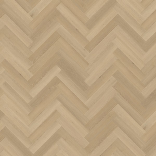 Belakos Borgo 31 visgraat XL dryback