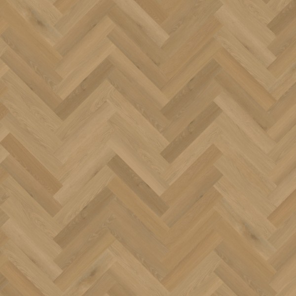 Belakos Borgo 32 visgraat XL dryback