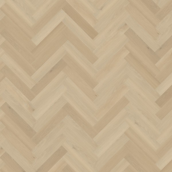 Belakos Borgo 33 visgraat XL dryback