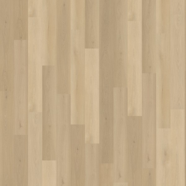 Belakos Borgo 310 rechte plank dryback