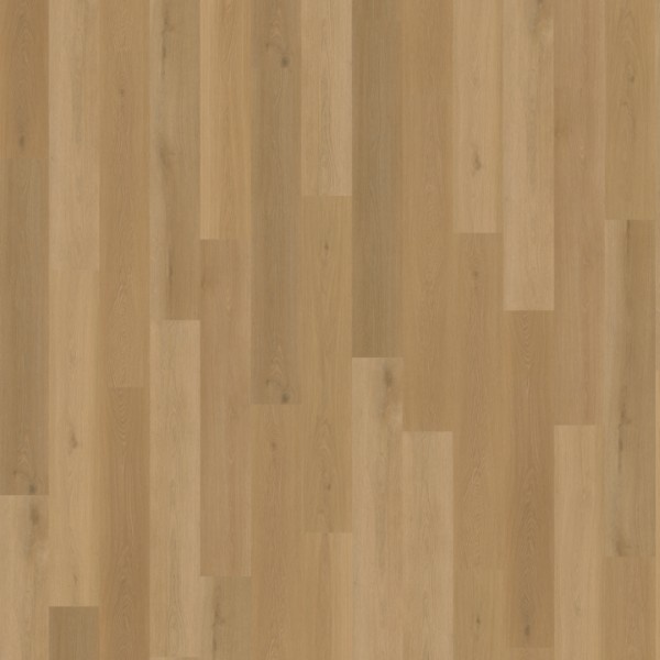 Belakos Borgo 320 rechte plank dryback