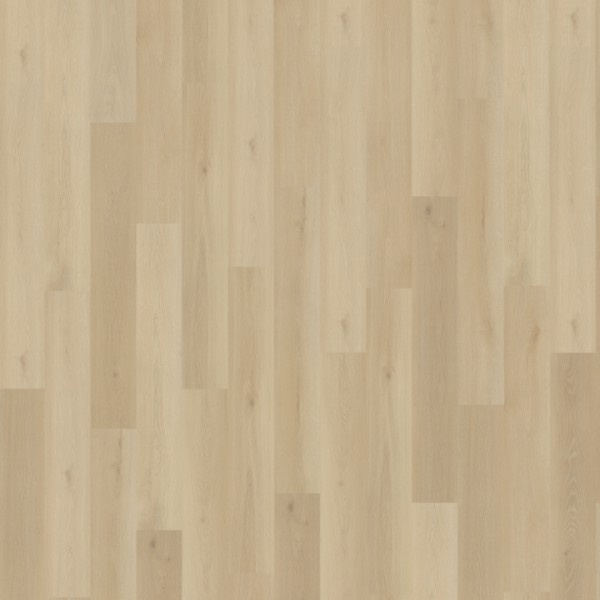 Belakos Borgo 330 rechte plank dryback