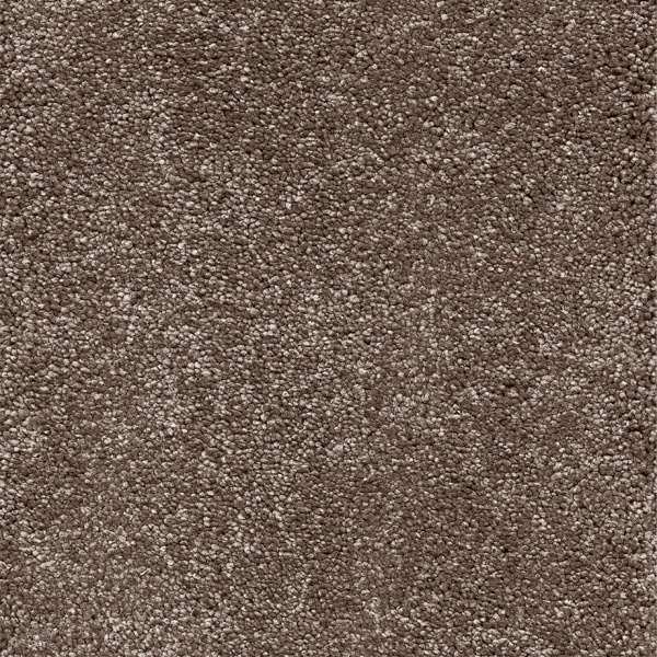 Interfloor Verdi SDN 555 500cm