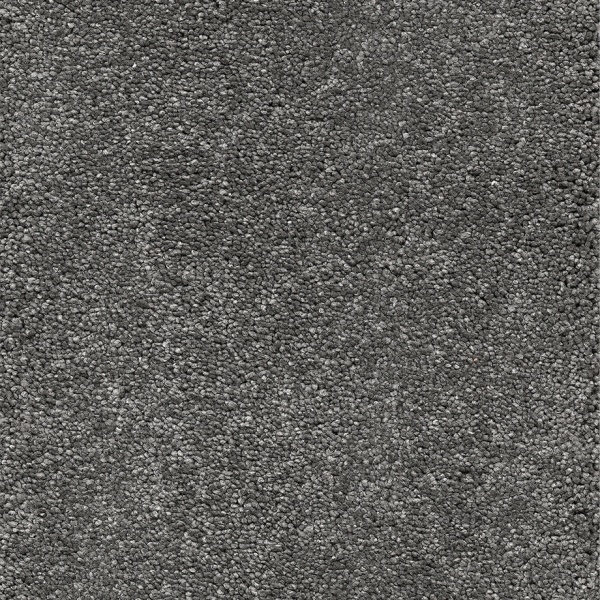 Interfloor Verdi SDN 598 500cm