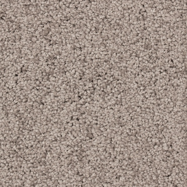 Interfloor Ravenna SDY 556 500cm