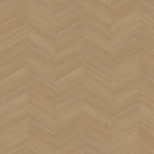 Belakos Futuro 50 hongaarse|weense punt dryback