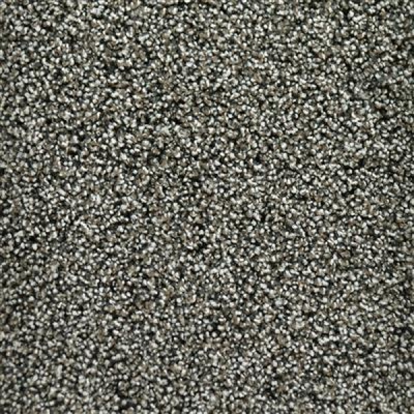 CoPro Entrance ombergrijs 0617 60x80