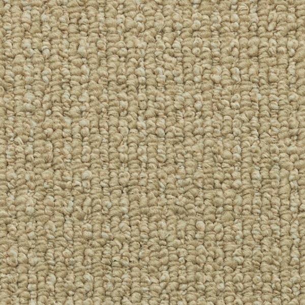 Parade Esprit 275 500cm