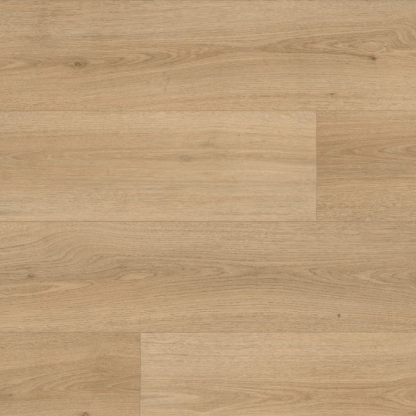 Ambiant Supreme 40 Eiken XL naturel 6901