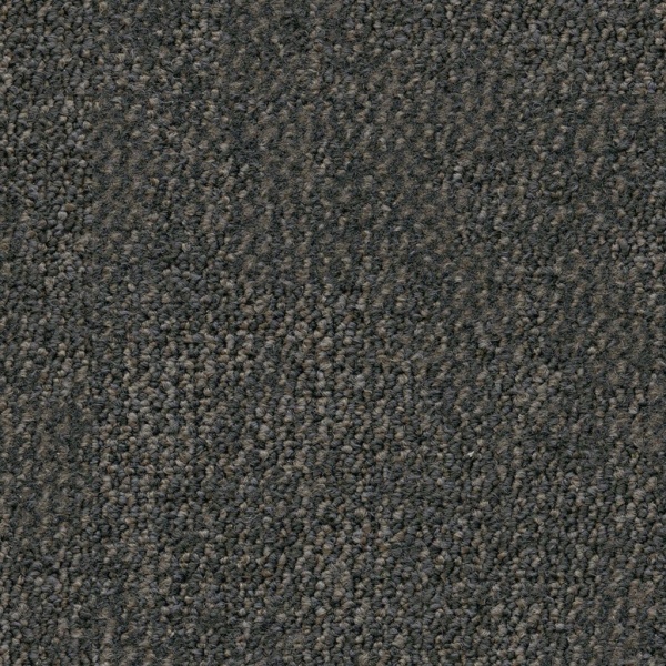 Ambiant Laredo greige 0195 400cm