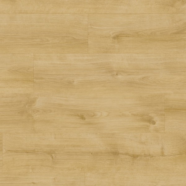 Moduleo Roots 0,55 EIR Galway Oak 87243BE Medium Plank