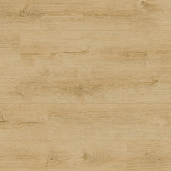Moduleo Roots 0,55 EIR Galway Oak 87245BE Medium Plank