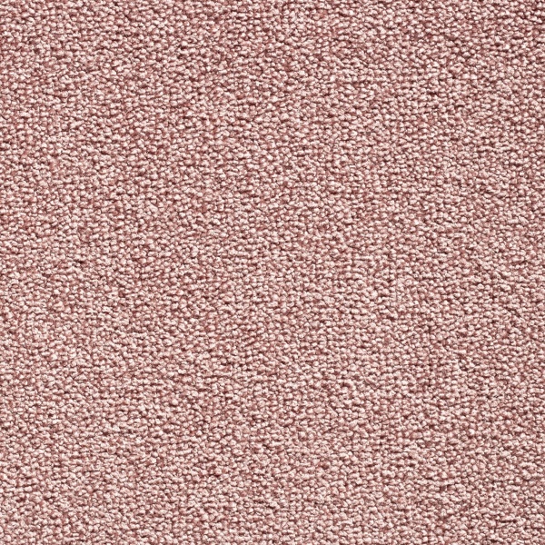 Montinique Presto 10 400cm