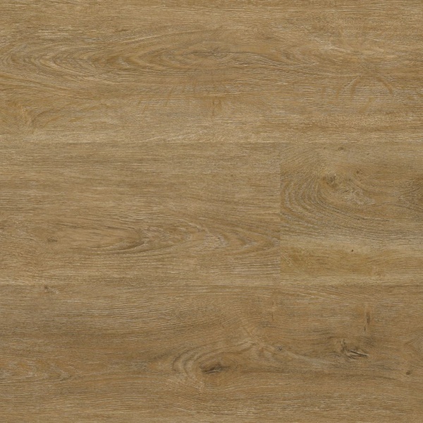 Ambiant Robusto brown 2529 rigid click