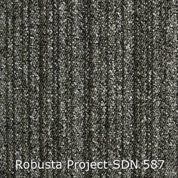 Interfloor Robusta 587 Anthracietstreep